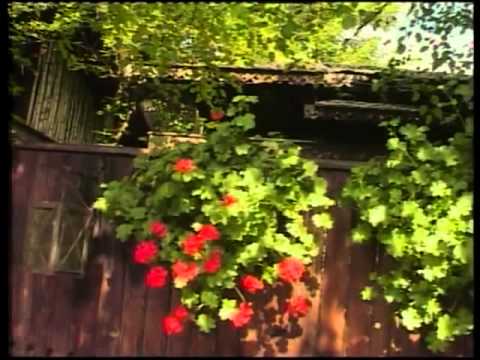 Violeta Constantin Nevasta ma doare capul muzica de petrecere
